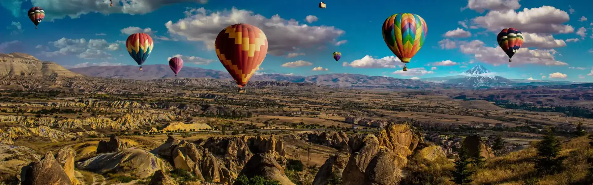 Für alle, die ihre Träume verfolgen...