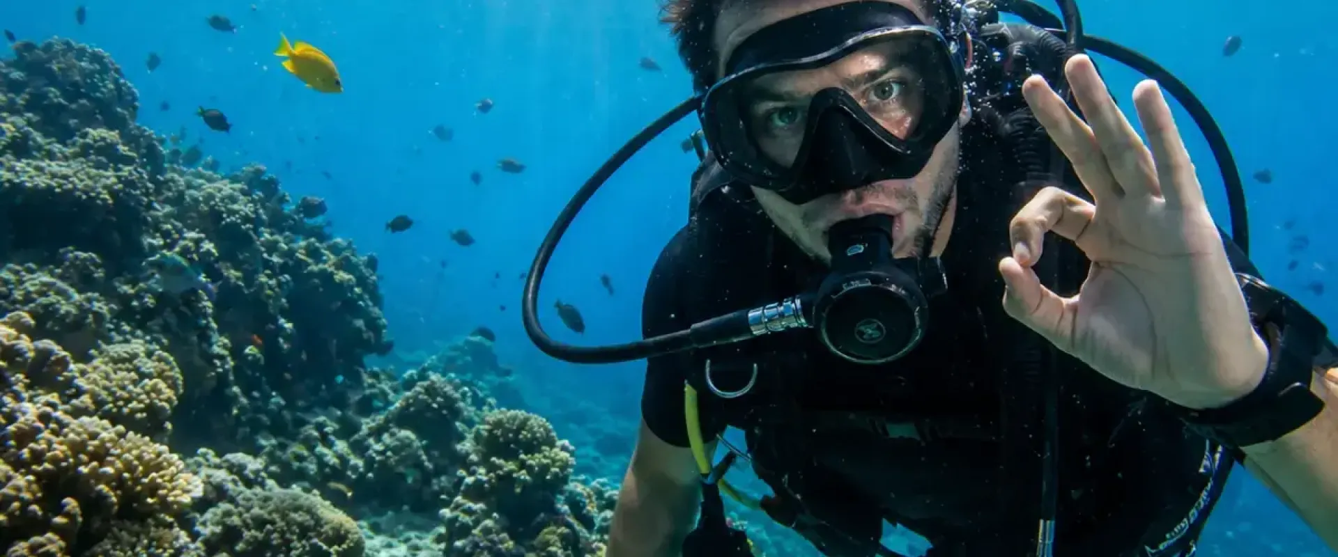 Antalya Dalış Turu Fiyatları 2026 Kemer Dahil En Uygun Scuba Diving Deneyimi