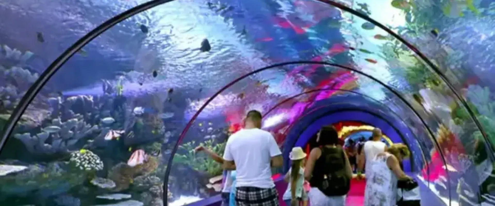 Tour del Acuario de Antalya