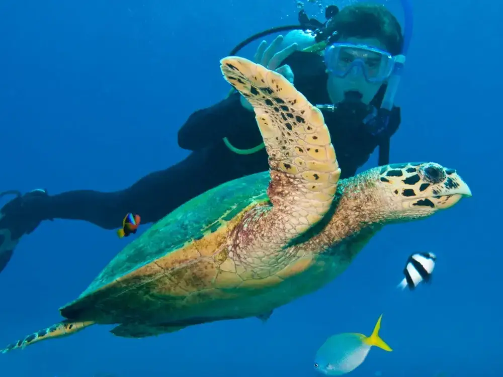 Excursión de Buceo en Kemer